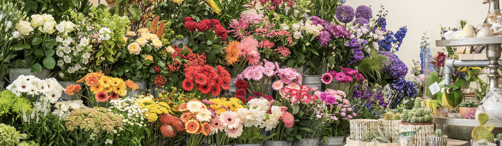 Moois van Mooy Bloembindersatelier